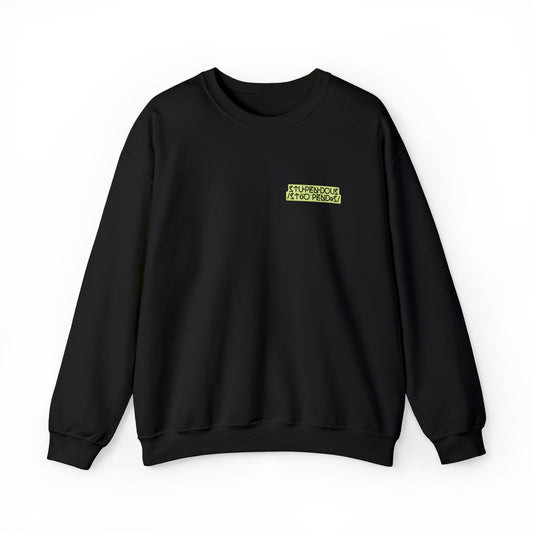 A STUPENDOUS Sweatshirt by Salutations & Such